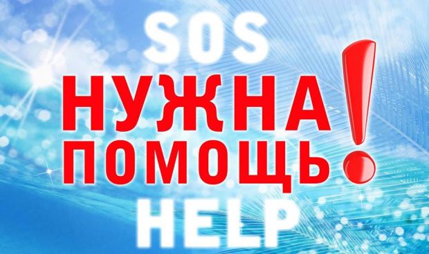Новосибирцев просят помочь спасателю из Кольцово