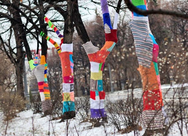 «Наш теплый парк»: в Советском районе украсят деревья