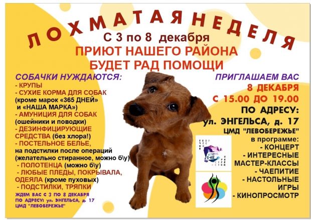 В Академгородке собирают подарки для четвероногих
