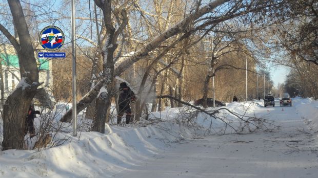Аварийное дерево в Советском районе пришлось убирать спасателям