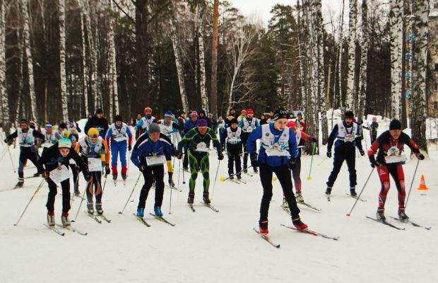 Ориентировщики соревновались в окрестностях Академгородка