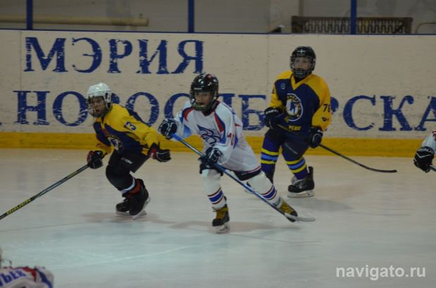 VIII турнир по хоккею с шайбой памяти Высоцкого пройдет в Советском районе
