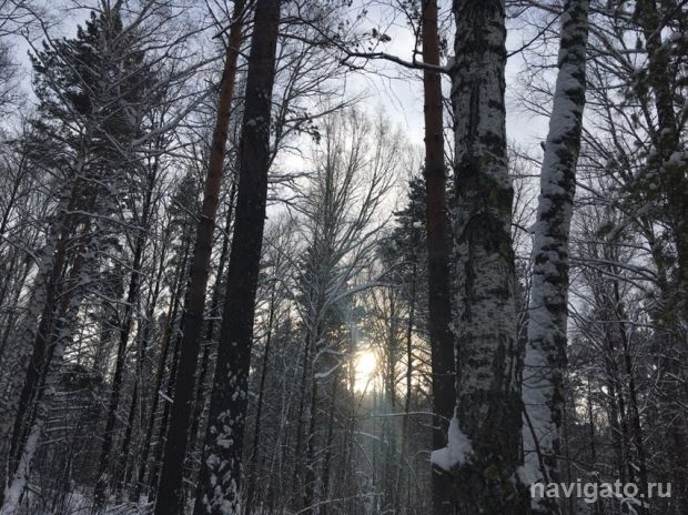 Спасатели просят новосибирцев быть аккуратнее из-за сильных морозов