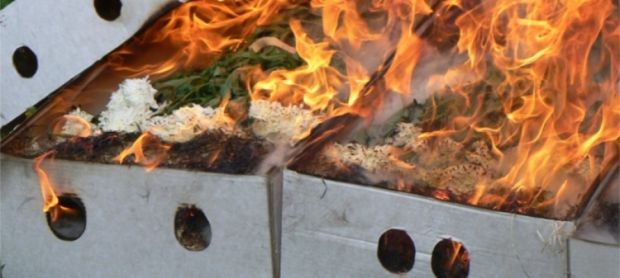 Более тысячи импортных цветов не попало на прилавки Новосибирска