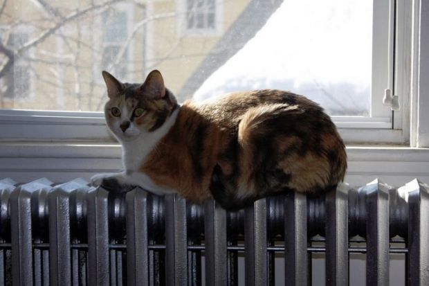 Как проходит отопительный сезон?