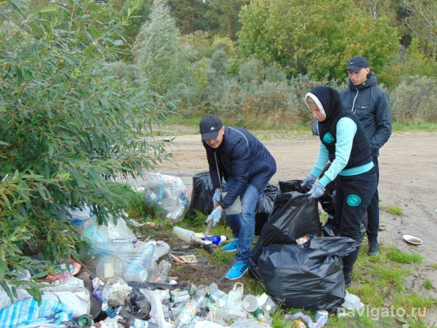 Есть вопросы по вывозу мусора региональным оператором?