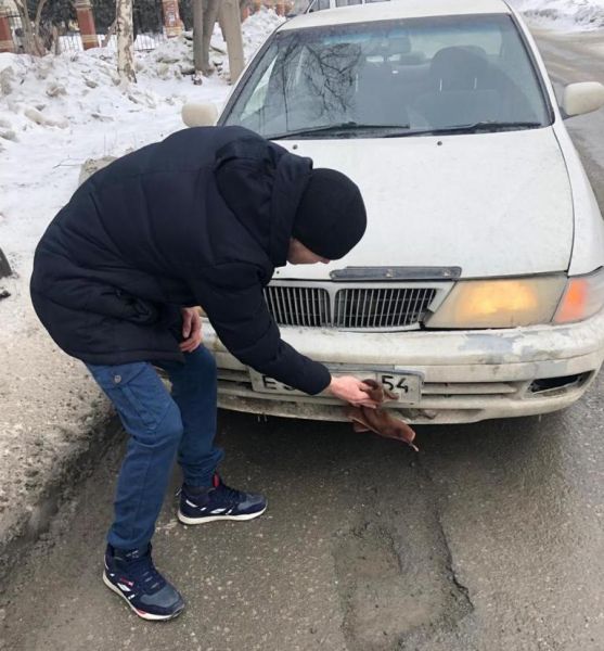 Автомобилистов Новосибирска заставили помыть госномера и снять тонировку