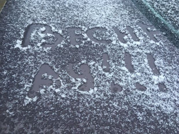 В выходные в Новосибирске будет тепло