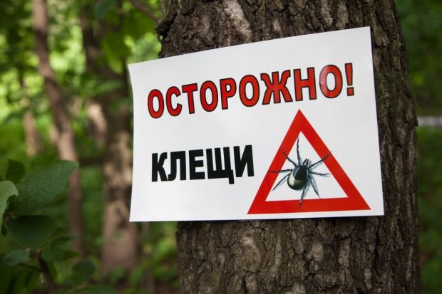 10 человек покусали клещи в Советском районе
