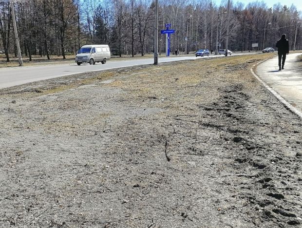 Зачем срезали часть газонов вдоль дорог в Академгородке