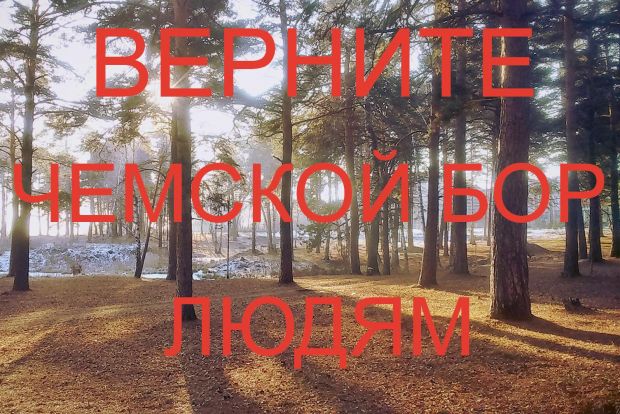 Жители ОбьГЭС написали открытые письма собственникам двух участков в Чемском бору