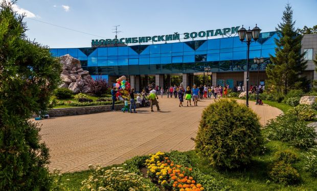 Добро пожаловать в зоопарк: в день защиты детей бесплатно