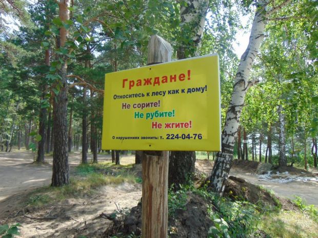Как защищают природу в Новосибирске