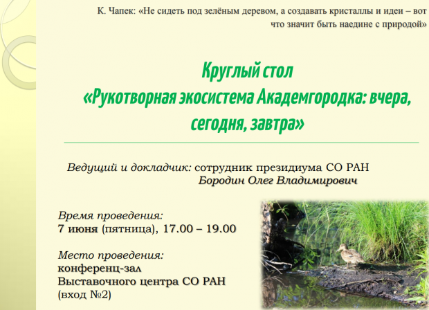 «Рукотворная экосистема Академгородка»: в Советском районе пройдет круглый стол