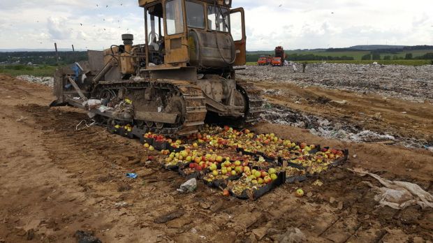 Роспотребнадзор: санкционные продукты не нужно уничтожать, нужно их использовать