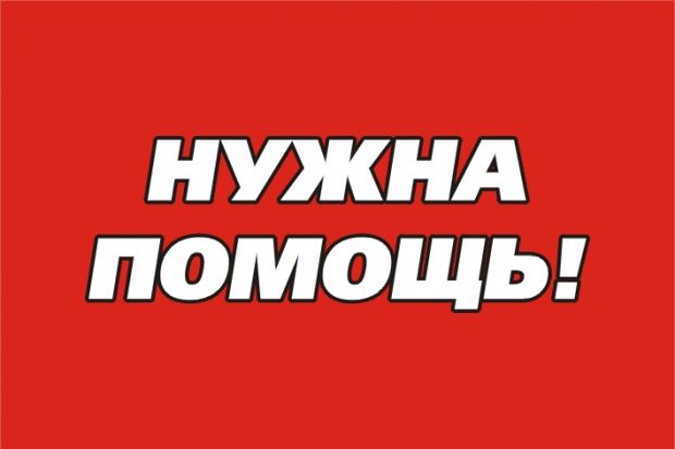 Многодетной семье погибшего Вани Гречнева нужна помощь