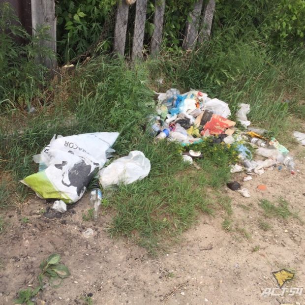 Жители поселка Огурцово в Советском районе устали убирать берег за другими