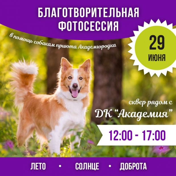 Уже скоро: благотворительная фотосессия в помощь приюту ждет вас!