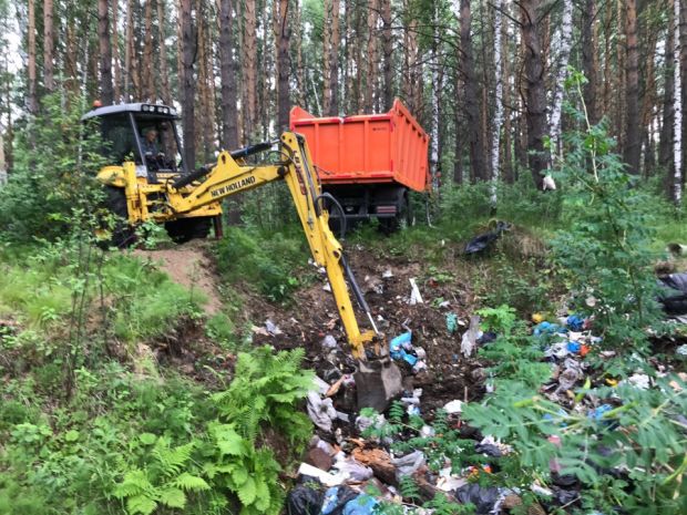 В шлюзовском лесу убрали большую свалку мусора