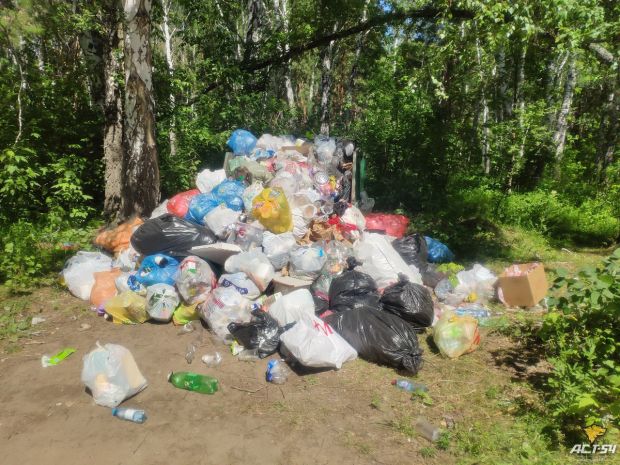 Новосибирцы жалуются на груды мусора в Чемском бору