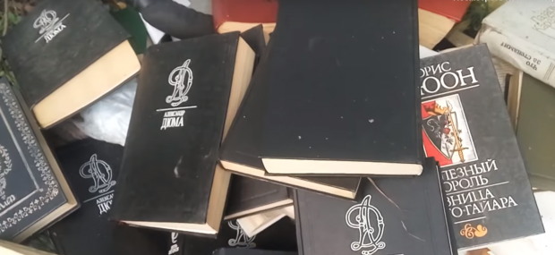 В Нижней Ельцовке нашли свалку исторических романов (видео)