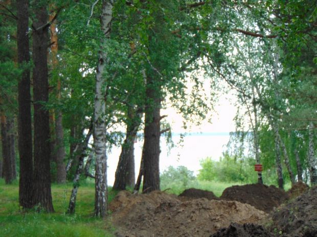 Назначен новый начальник МКУ «Горзеленхоз» в Новосибирске