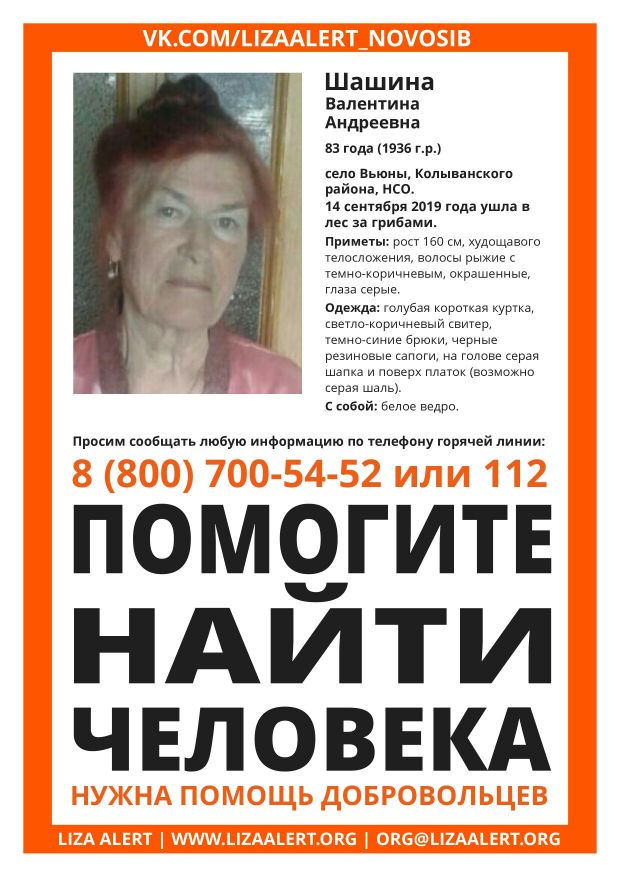 Волонтеры, полиция, военные ищут бабушку, ушедшую за грибами