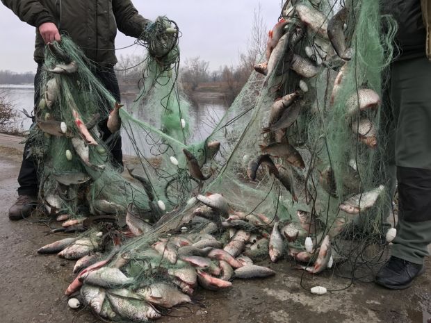 320 килограммов незаконного улова изъяли транспортные полицейские за год