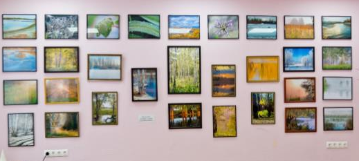 Жителей и гостей Советского района приглашают на выставку «О Земле Сибирской»