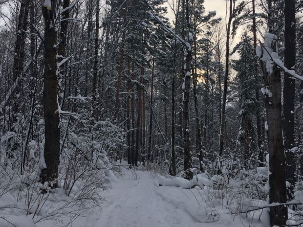 МЧС просит новосибирцев быть аккуратнее из-за непогоды