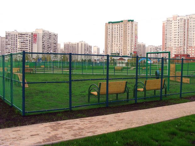 Площадки для выгула собак могут появиться в Новосибирске