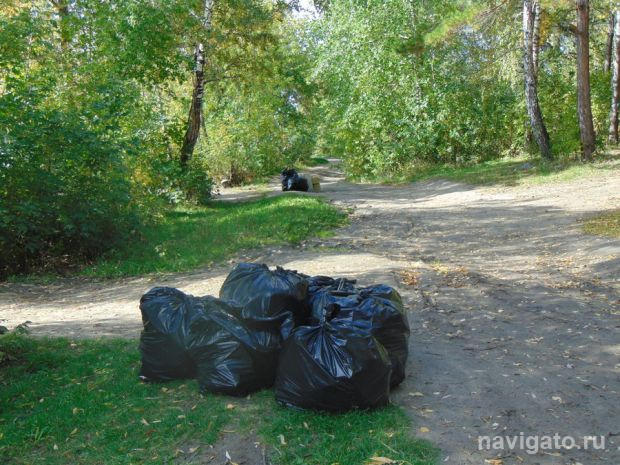 15 добровольческих проектов из Советского района победили в городском конкурсе