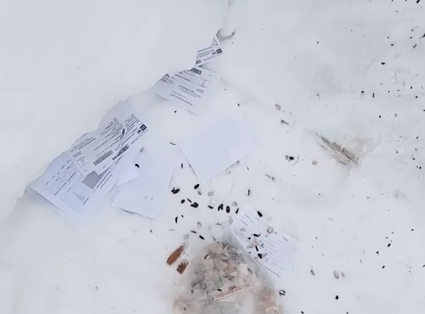 На Шлюзе в мусорке нашли почтовые извещения (видео)