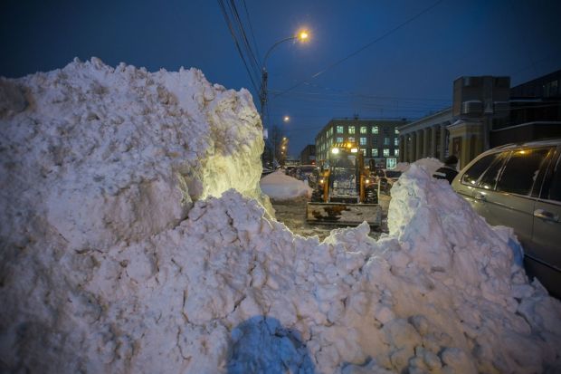 Общественники из Новосибирска обратились за помощью к президенту
