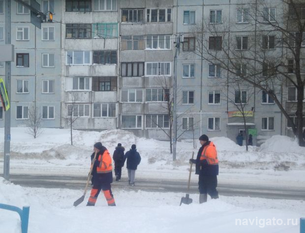 Новосибирцы чаще всего искали работу водителя и продавца