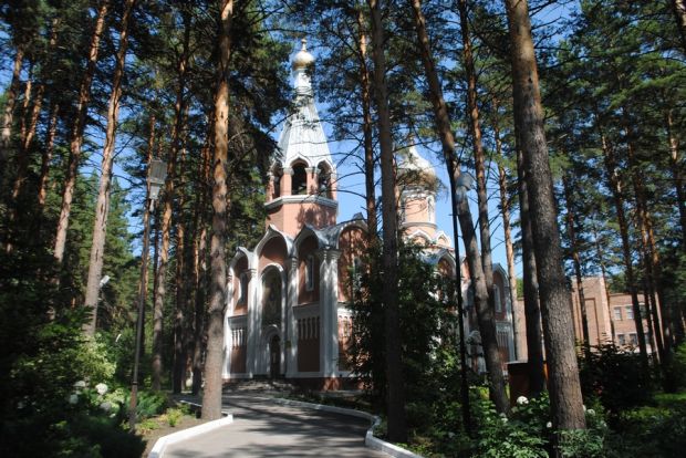 Сохранить зеленые зоны от застройки хотят в Новосибирске