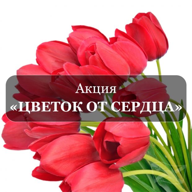 Мужчины центра «Дельфин» будут дарить цветы на улицах ОбьГЭС
