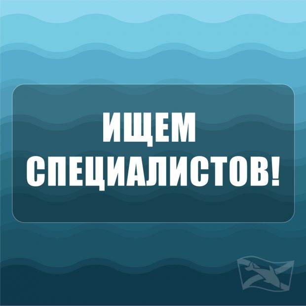 Желающих работать с молодежью ждут на работу в центр «Дельфин»