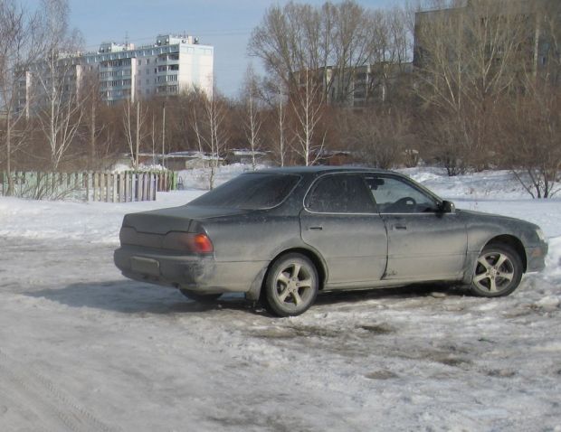 РАТИ смогут штрафовать новосибирцев за парковку на газонах