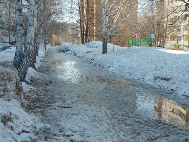 В выходные в Новосибирске будет тепло, а потом начнет холодать