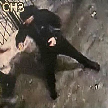 Полиция просит помощи в поисках убийцы бердчанина