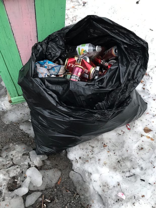 Жительницу Академгородка возмутило состояние еловой аллеи на улице Ученых