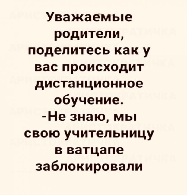 Новосибирские школы перешли на дистанционное обучение