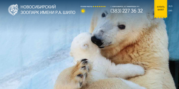 В качестве поддержки 27,5 миллиона рублей получит Новосибирский зоопарк