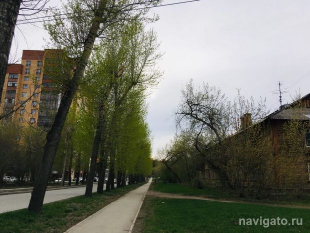 Нарушителей самоизоляции выявляют и штрафуют