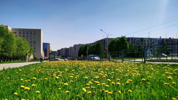 Благоустройство в наукограде Кольцово – среди лучших в стране