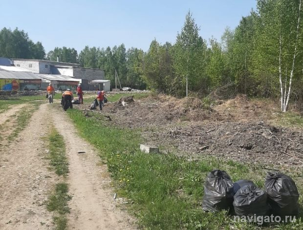 Стихийная свалка на Софийской возникла из-за садоводов
