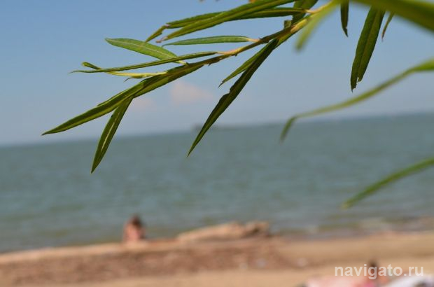 Водолазы осмотрят дно на пляжах Советского района