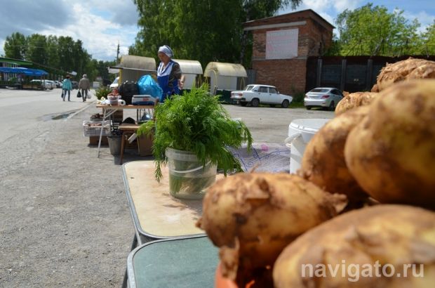 Губернатор Новосибирской области разрешил рынкам работать