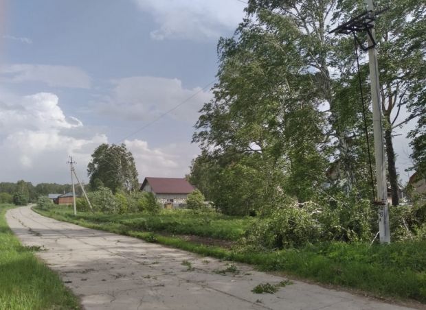 Электричество в микрорайон Щ вернули за 12 часов